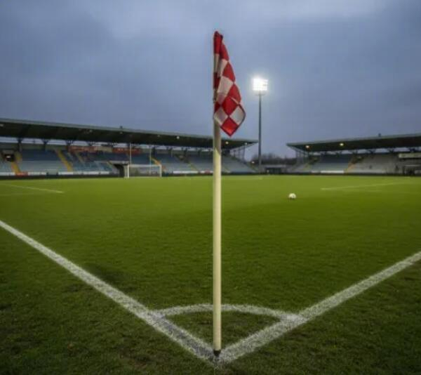 意大利球队经理将角旗杆塞裁判裤裆,被禁入场两年|足球赛事|禁赛处罚|足球赛|意大利足球|低级别联赛_新浪体育_新浪新闻